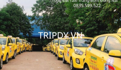 Top 13 Hãng taxi Trảng Bom số điện thoại tổng đài 24/7