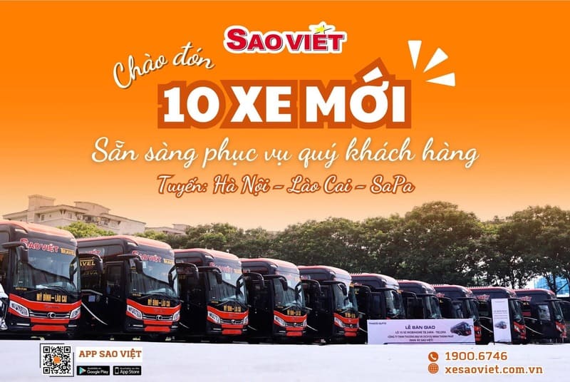 Top 11 Nhà xe Mỹ Đình Lào Cai xe khách bến xe Mĩ Đình đi Sapa