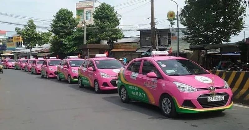 Taxi Sen Hồng Cao Lãnh Đồng Tháp: Số điện thoại & giá cước Km